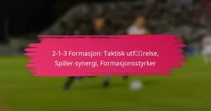 2-1-3 Formasjon: Taktisk utførelse, Spiller-synergi, Formasjonsstyrker